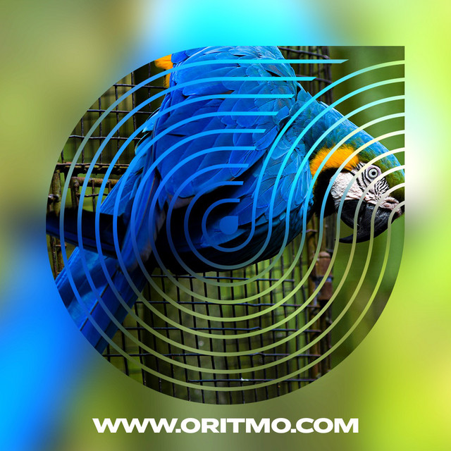 O Ritmo