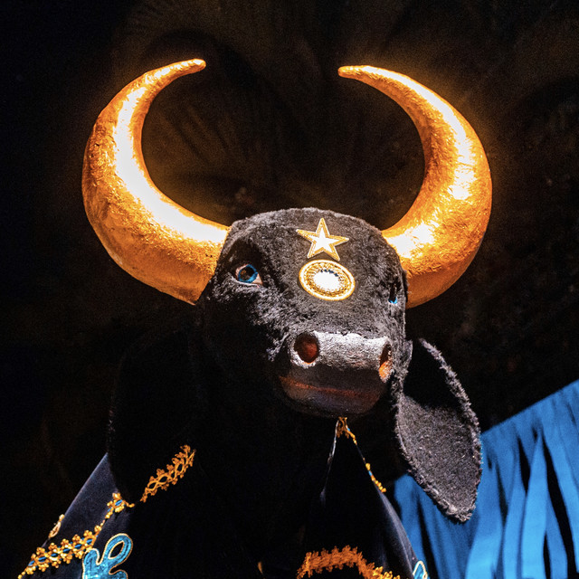 Boi da Macuca