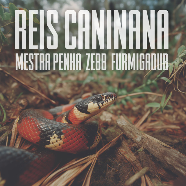 Furmiga Dub, ZEBB e Mestra Penha Cirandeira – “Reis Caninana”