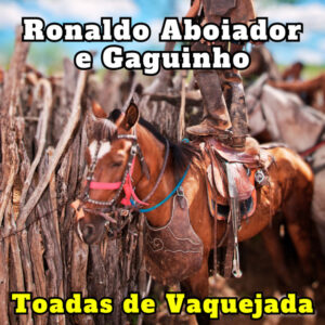 Capa de Ronaldo Aboiador e Gaguinho – “Toadas de Vaquejada”