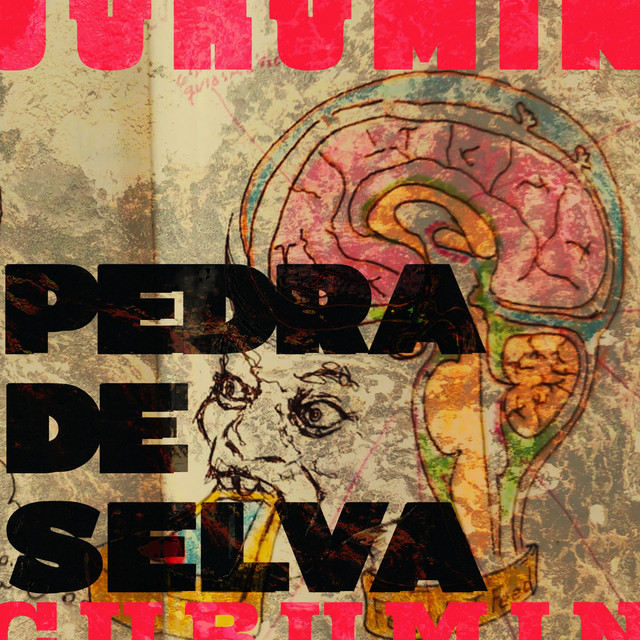 Jéssica Caitano e Curumin – “Pedra de Selva”