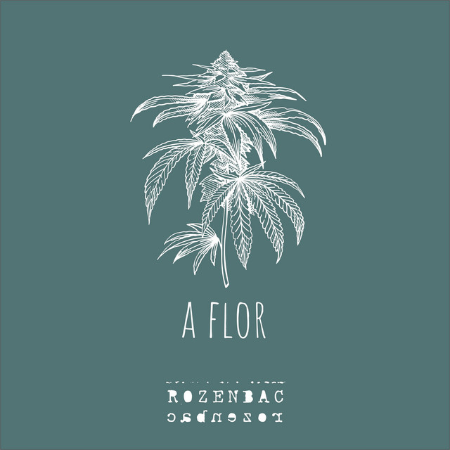RozenBac – “A Flor”