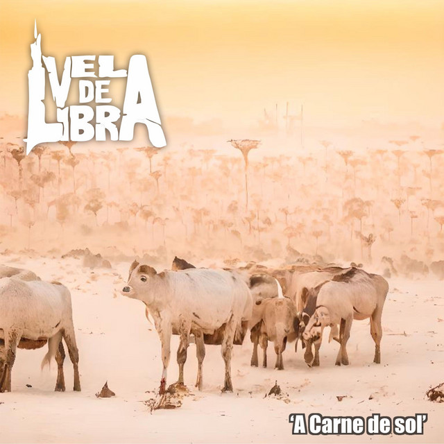 Vela de Libra – “A Carne de Sol”