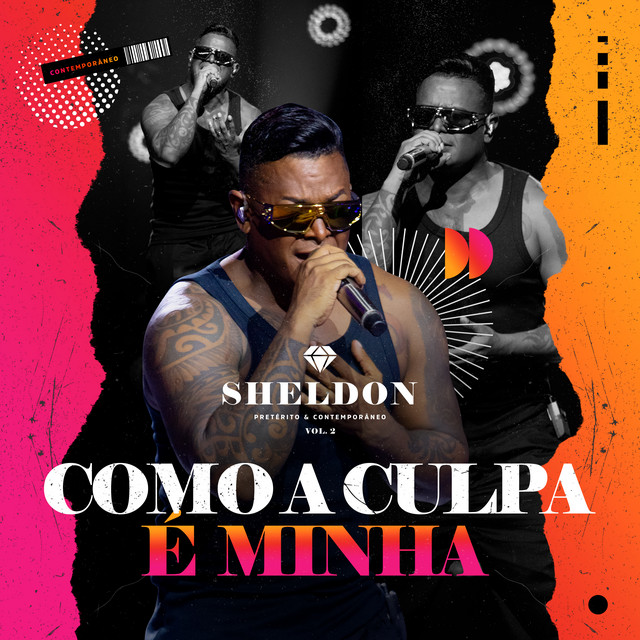 Sheldon – “Como a Culpa É Minha”