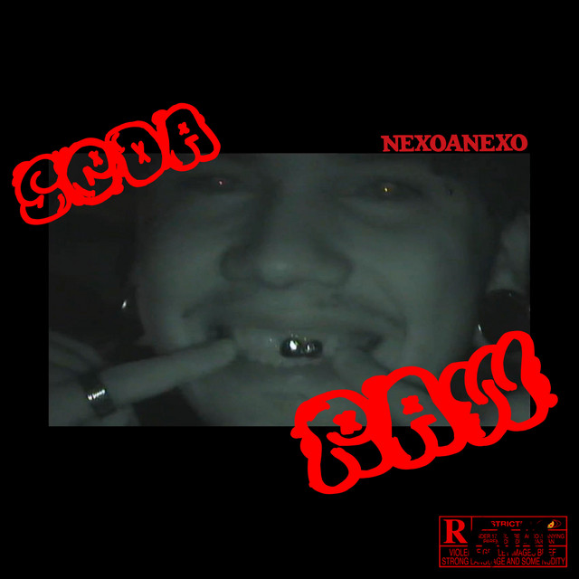 NexoAnexo – “SEDA RAW”
