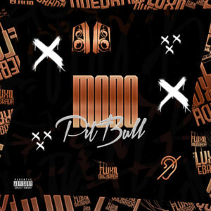 Ari Falcão, DJ Teteu Original, DJ CHRIS OFICIAL e Fluxo Nas Quebradas – “Modo Pitbull”