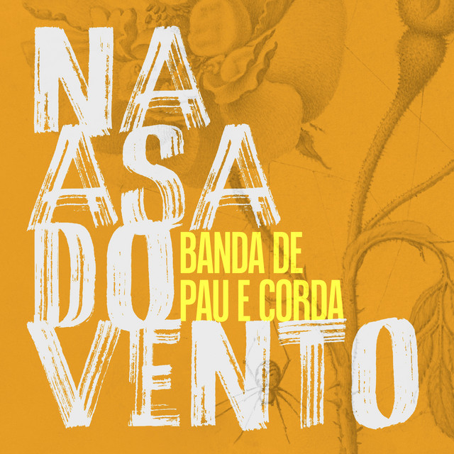 Banda De Pau E Corda – “Na Asa do Vento”