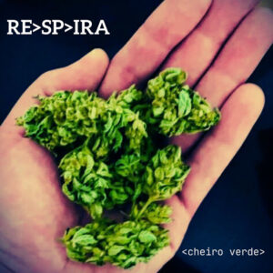 Dengue, RE>SP>IRA e Davi Indio – “Cheiro Verde”