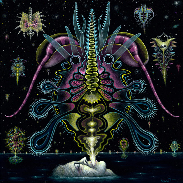 Sargaço Nightclub e Luis Nenung – “Bioluminescente”