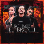 Capa de DJ Malicia, Mano Cheidd e Mc Larissa – “No Baile Eu Brotei”